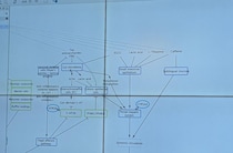 2025年4月19日  ディープなお茶マニア