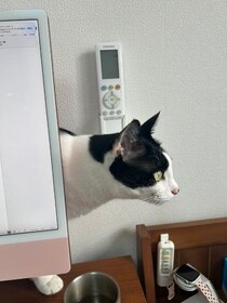 日常に舞い降りてきた天使