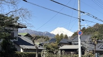 富士山の見えるお寺で（3月14日）―母の四十九日だった。