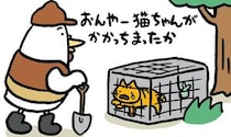 自由