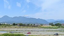 2026年6月2日 松田町の自然｜辛酸なめ子