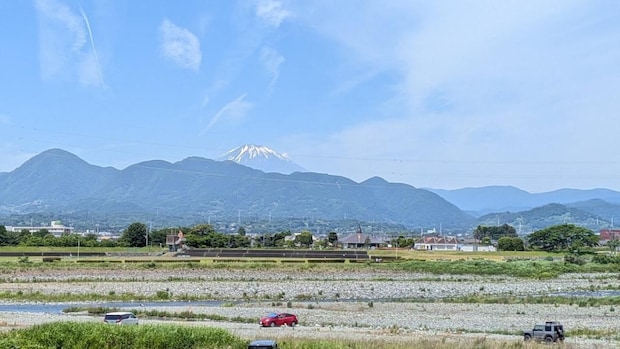2026年6月2日 松田町の自然｜辛酸なめ子