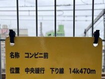 100年以内にAIが人類を絶滅させる可能性が99.9%――AIに悪気はないけれど!?