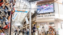 沖縄、忘れ得ぬシークワーサワー｜大平一枝