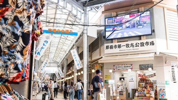 沖縄、忘れ得ぬシークワーサワー|大平一枝
