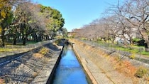 西荻図書館、善福寺川、桃井原っぱ公園、善福寺公園……歩いた後は、カキフライ定食、ご飯大盛りで！