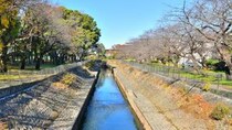 西荻図書館、善福寺川、桃井原っぱ公園、善福寺公園……歩いた後は、カキフライ定食、ご飯大盛りで！