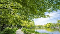 石神井図書館で自作があるのを確認し、メニュー豊富な食堂で人生最後（？）のすき焼きを食す｜小野寺史宜