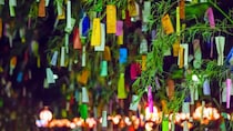 桜の下の「別れ」から、七夕の「再会」へ。入社3ヶ月の新米編集者が迫る、創作の掛け算と幻の初期プロット｜越尾圭