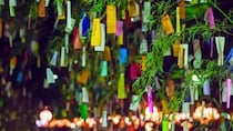 桜の下の「別れ」から、七夕の「再会」へ。入社3ヶ月の新米編集者が迫る、創作の掛け算と幻の初期プロット