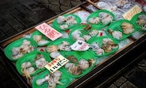 遠くへ行きたい　ロケハン明石海峡編