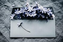 「うまくいかなかった恋愛に意味はある？」30代後半・独身女性二人が正直な気持ちを交換する往復書簡