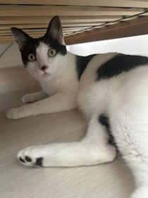 奇跡の出会い