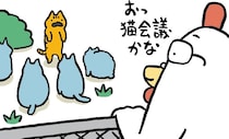 座談会｜たかしまてつを