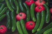 【冒頭試し読み3】梶原家の姉妹と、秩父の夏野菜