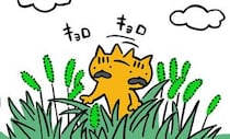 探し物