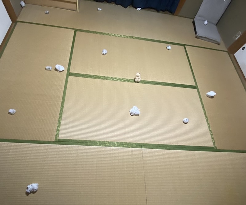 「本物のハムスターを探せ!」広々とした和室で開催されたクイズが高難易度すぎる