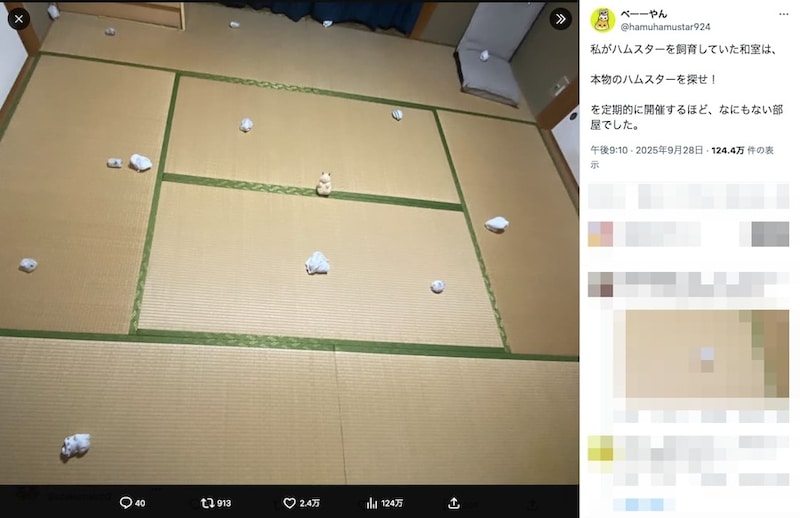 中央の物体はフェイク