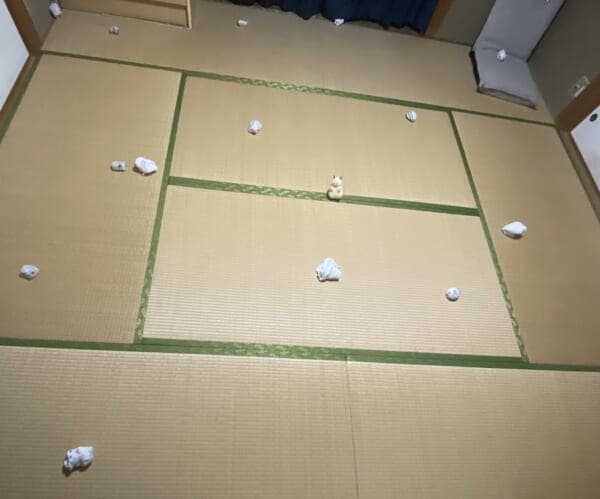 「本物のハムスターを探せ!」広々とした和室で開催されたクイズが高難易度すぎる