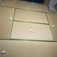 「本物のハムスターを探せ！」広々とした和室で開催されたクイズが高難易度すぎる