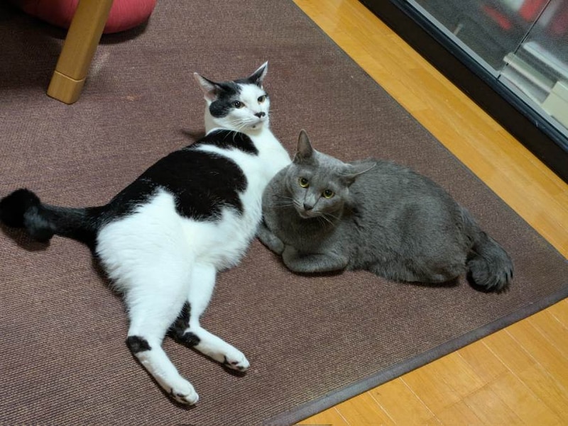 みろくくんとターラちゃん