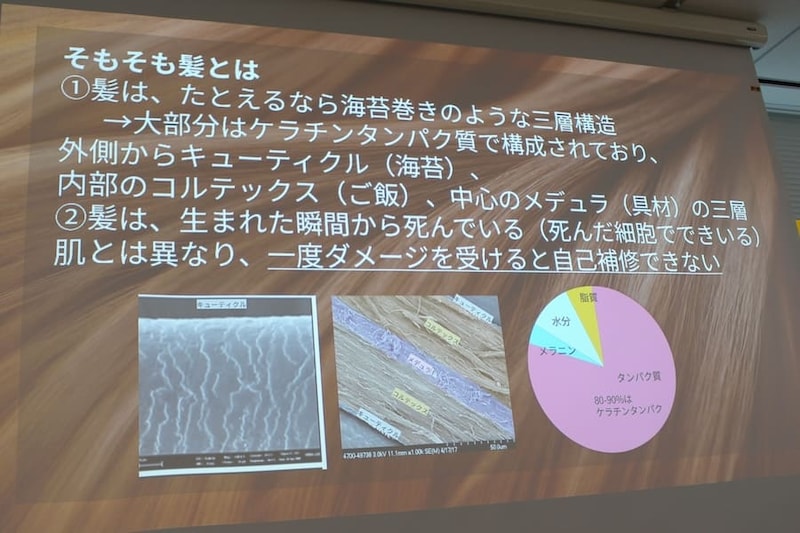 髪は自己補修できない