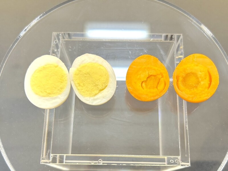 左が溶液につける前、右が溶液につけた後