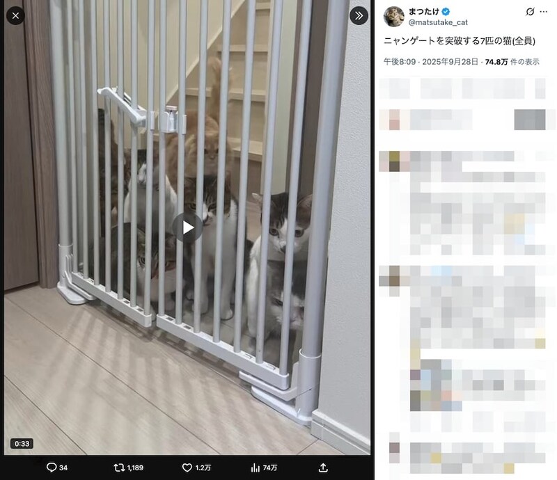 まつたけさんの投稿