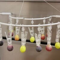 幼稚園イベントに行けなかった3歳娘のために……母が用意した「おうちぶどう狩り」にほっこり