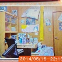 携帯ゲームに残っていた中2の頃のオタク部屋写真　11年前の「青春」がエモすぎる