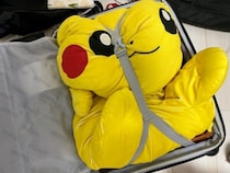 スーツケースに押し込まれた特大ピカチュウぬいぐるみ　かわいそうだけどかわいい？
