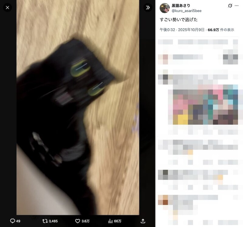 あとから自分で近寄ってきた