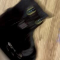 これが……猫？全力ダッシュで飼い主から逃げる猫ちゃんがカートゥーンすぎる