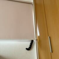 行方不明だった猫、まさかの場所で発見　ロールカーテンから垂れたしっぽが決め手に