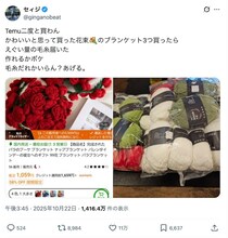 越境ECでブランケット買ったら“毛糸の山”届いた　怒りのXユーザー「だるいけど編んだるわボケ」