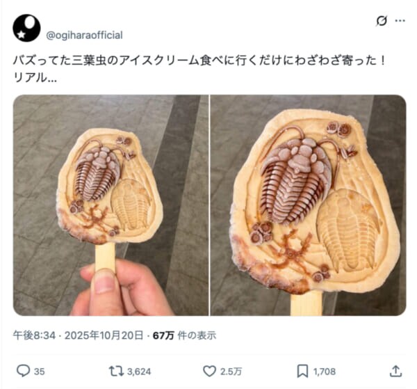 食べるのに勇気がいりそう……タイの博物館で買える「三葉虫アイス」がリアルすぎ