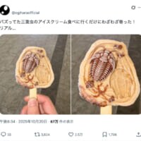 食べるのに勇気がいりそう……タイの博物館で買える「三葉虫アイス」がリアルすぎ