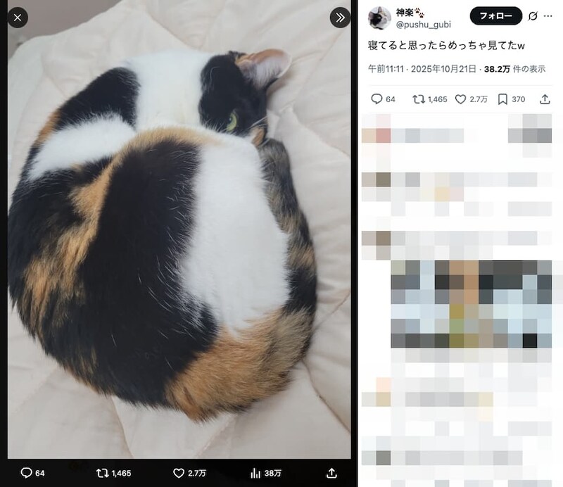 怒っているわけではない