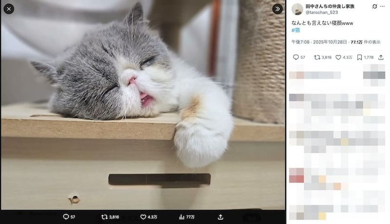 ひしひしと伝わる寝落ち感