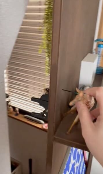 隠し部屋が現れる！