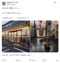 タイと日本のセブン−イレブン、店先に広がる“決定的な違い”が話題