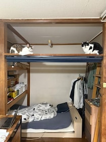 狛犬ならぬ狛猫？　就寝スペースに鎮座する二柱の守り神は猫