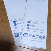 よくある自治体の封筒……あれ？記されている情報がすべて“架空”の封筒が話題