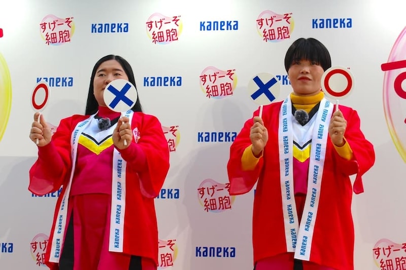 マルバツクイズに挑戦