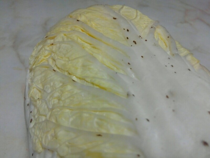 白菜の黒い斑点はポリフェノールだった　農林水産省が「捨てないで」と呼びかけ