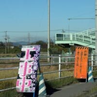 派手なピンクに「マヂでアゲ」……道端に突如現れた「ギャルすぎる工事看板」が話題