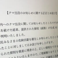 善意の通報が“誤報”に変わるAI時代　女川町のクマ騒動が示した危険性