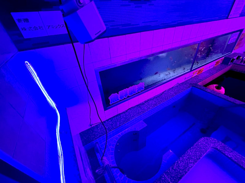 脳に語りかけるようなアナウンスが降ってくる立ち湯