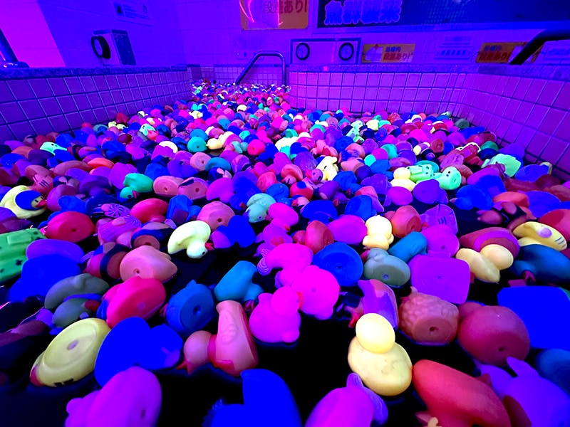 妖しく光るアヒルが浴槽を埋め尽くす