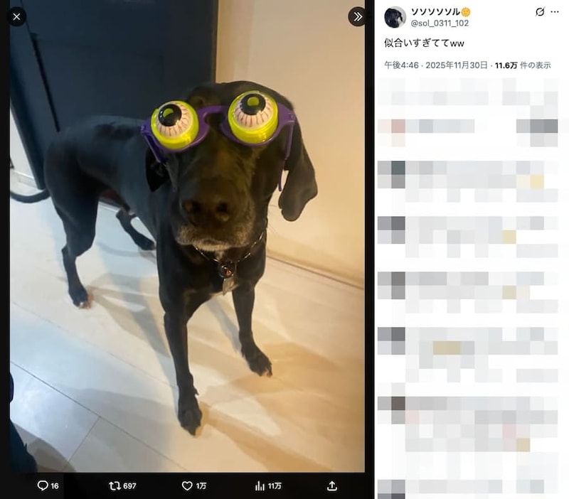 メガネが似合いすぎている